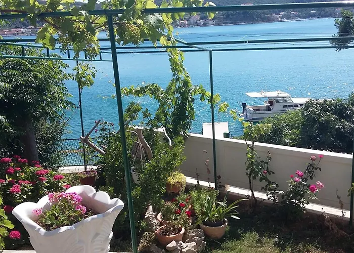 شقة - Gornja 2016c